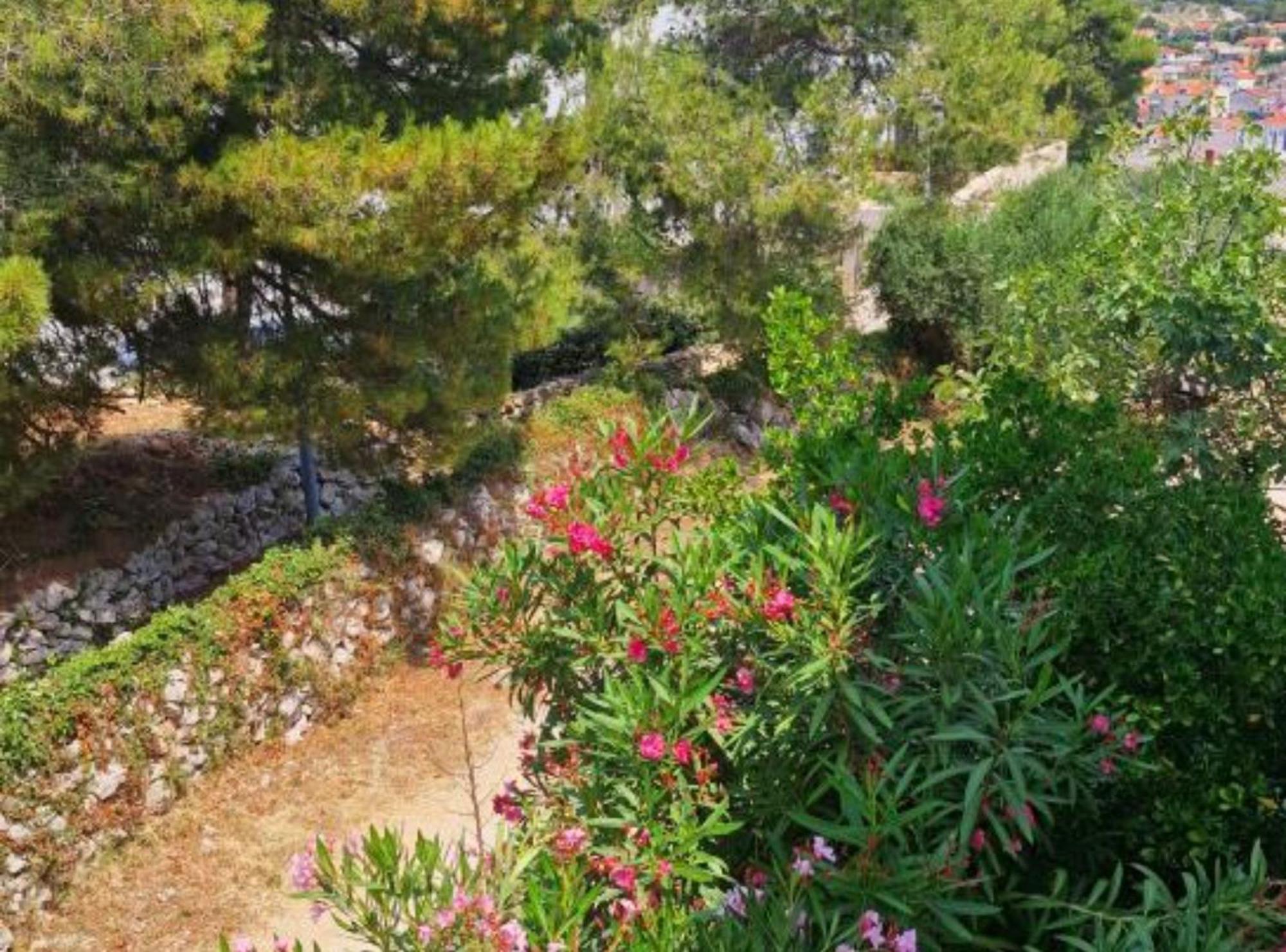 Pansion Belvedere Mali Lošinj Extérieur photo